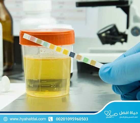 أقصى مدة بقاء الكريستال ميث في البول