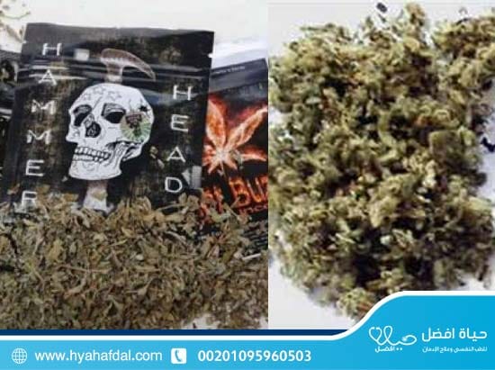 الفرق بين الفودو والاستروكس
