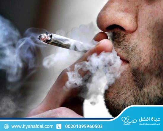 الفرق بين تأثير الحشيش والماريجوانا؟