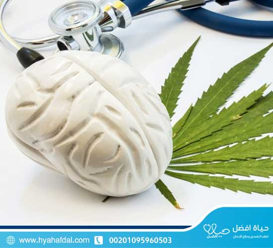 ماهى تأثيرات الحشيش على الدماغ ؟