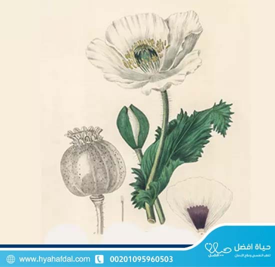 طرق الوقاية من إدمان الأفيون