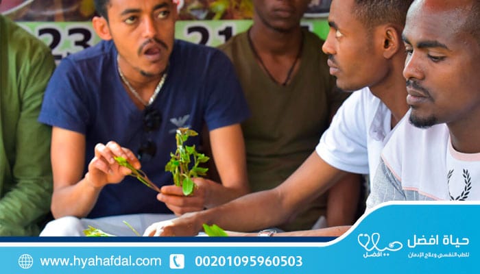 علاج إدمان القات وابطال مفعوله في 7 طرق؟
