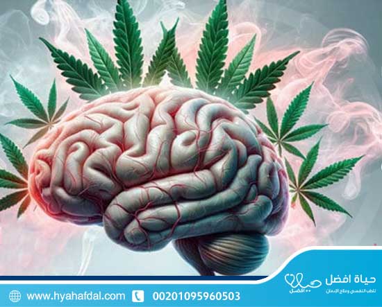 كيف يؤثر الحشيش والماريجوانا على الدماغ والجسم
