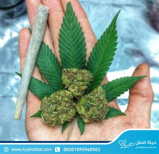ما هي الأعراض والمخاطر الصحية لإدمان الماريجوانا؟
