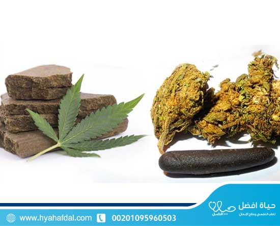 ماهو الفرق بين الحشيش والماريجوانا ؟