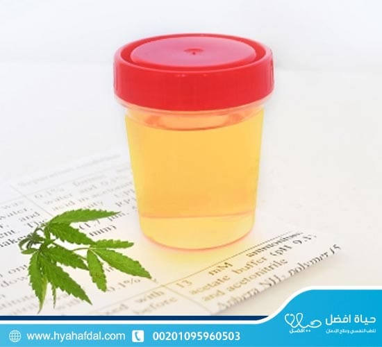 ماهى العوامل التى تؤثر على مدة بقاء الحشيش في البول