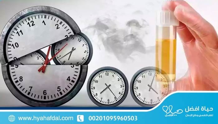 مدة بقاء المخدرات في الجسم وكيفية تخطي تحليل المخدرات بأمان؟